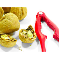 Vitamina B6 echilibraza secretiile hormonale